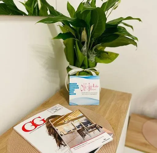 Alice's Dream - Downtown Brescia